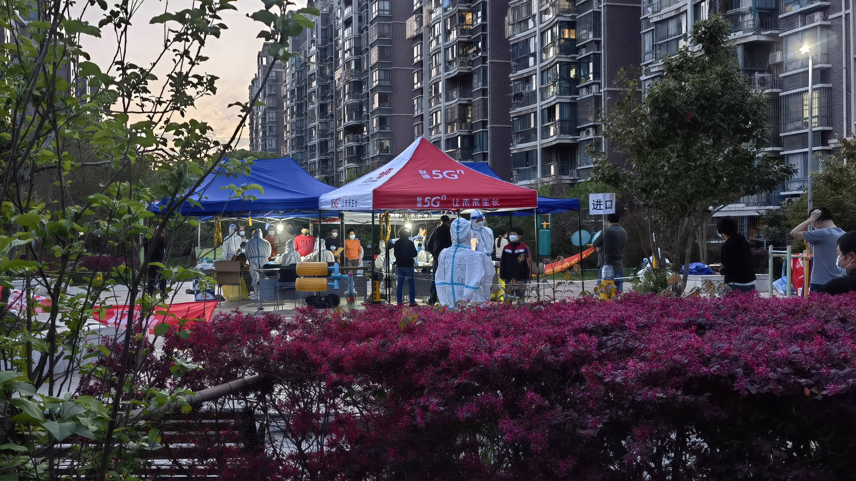 【石各庄疫情/石各庄小区】-第3张图片