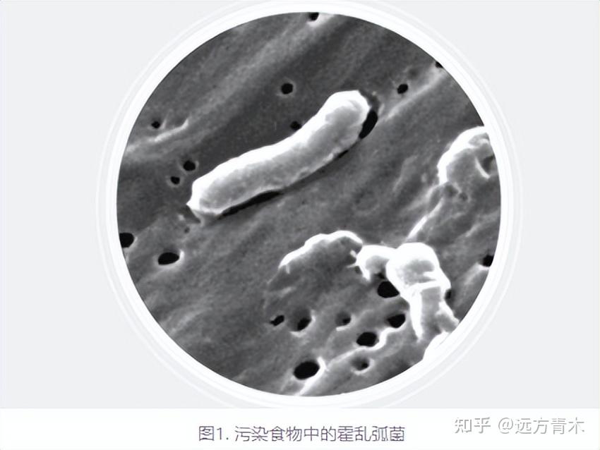 武汉查相关确诊病例.武汉查相关确诊病例情况-第2张图片