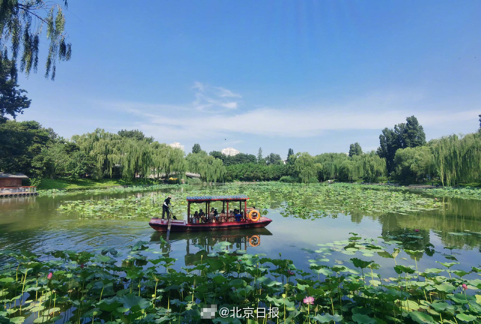 北京中高风险地区,北京中认-第1张图片