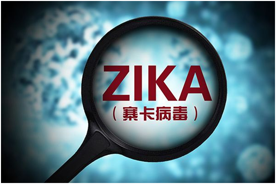 正式宣布疫情结束〃宣布疫情结束时间是几月几日-第3张图片