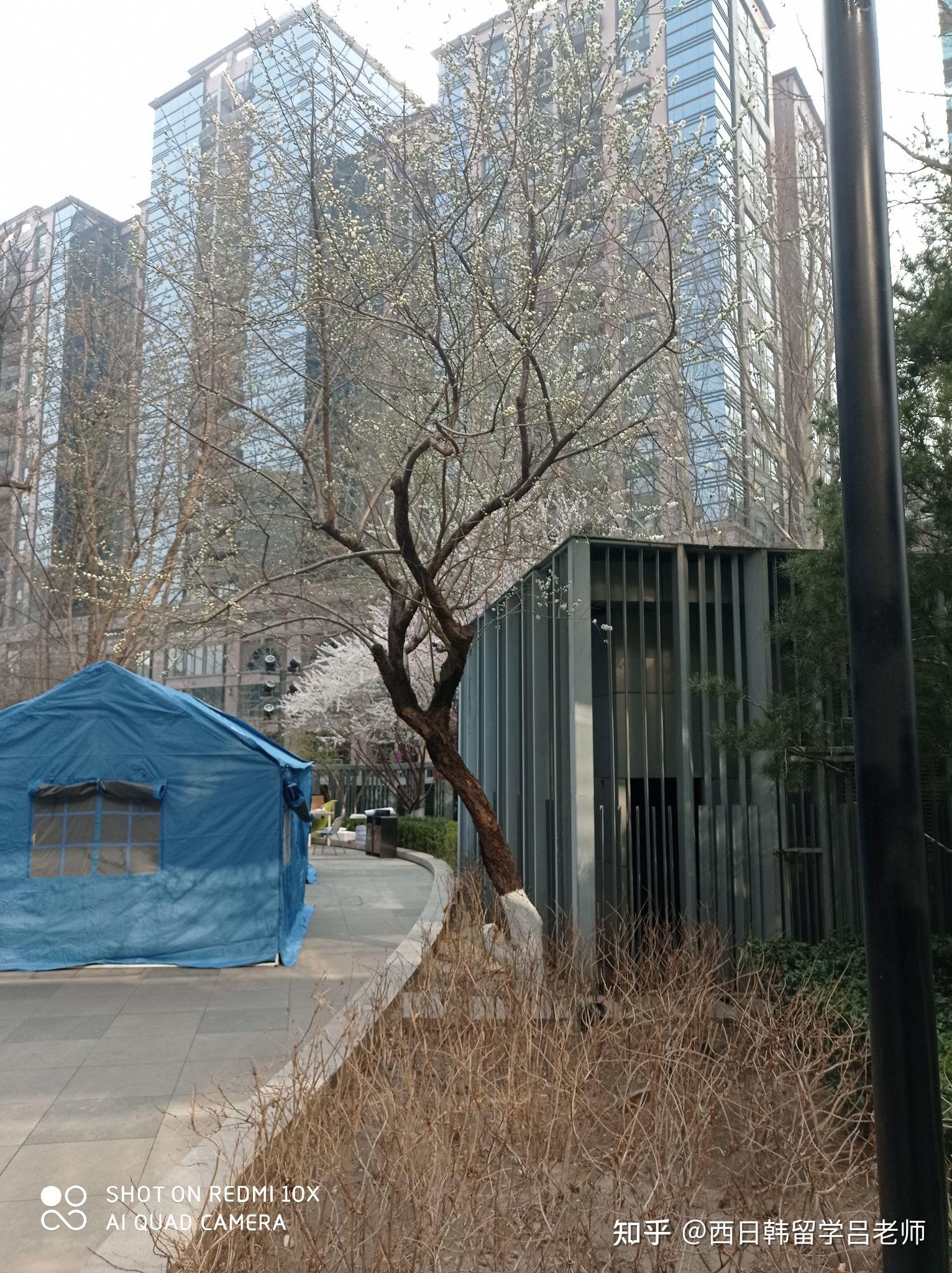 北京确诊-北京确诊H5N6病例-第1张图片