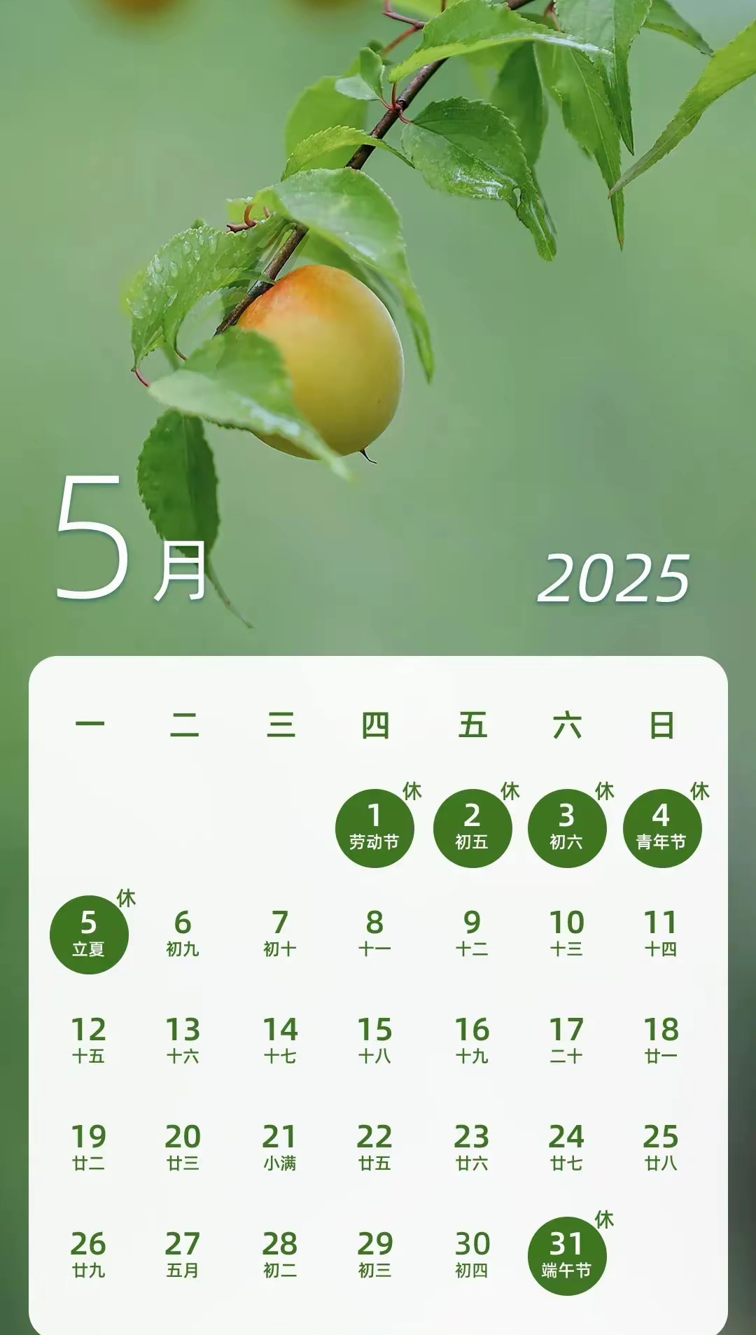 “五一法定假几天” 五一法定假几天不算调休法定假？-第1张图片