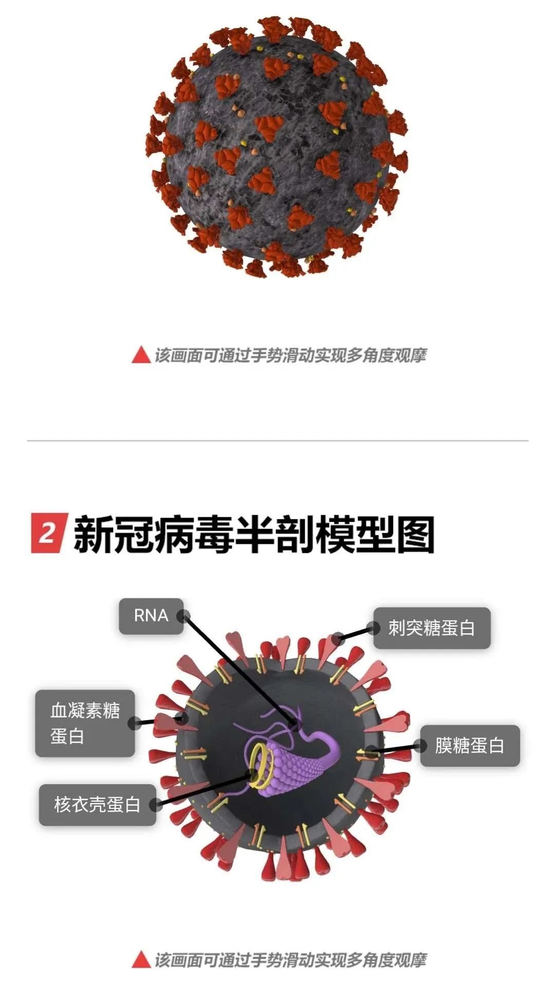 【北京新冠病毒最新消息/北京新冠病毒最新动态】-第2张图片