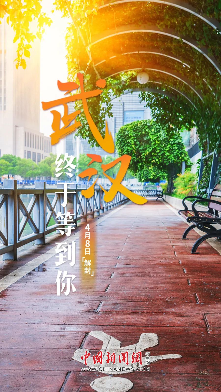 【12月3号全面解封/12月3号全面解封时间】-第3张图片