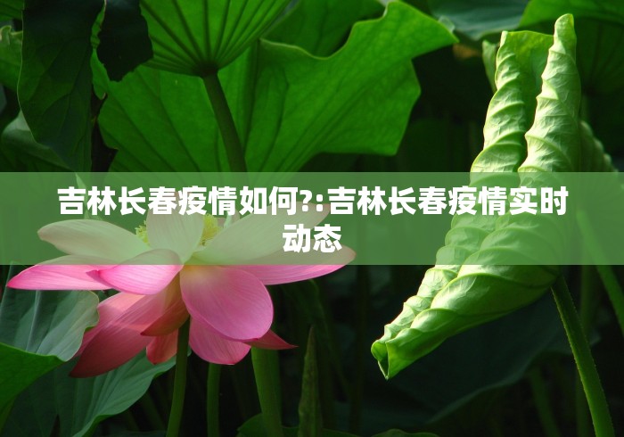 【31省新增确诊11例6例为本土/31省区市新增13例本土确诊】-第1张图片