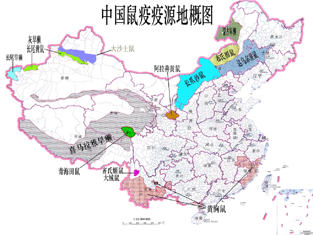 中国疫情哪里最严重〃中国疫情哪里最严重了-第3张图片