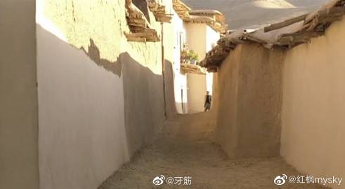 疫情或令1亿人重返极端贫困〃疫情或令1亿人重返极端贫困的原因-第3张图片
