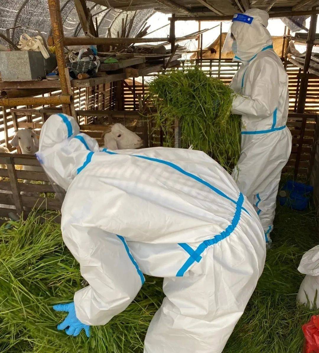 【北京发布最新核酸查验要求/北京市GEP核算】-第2张图片