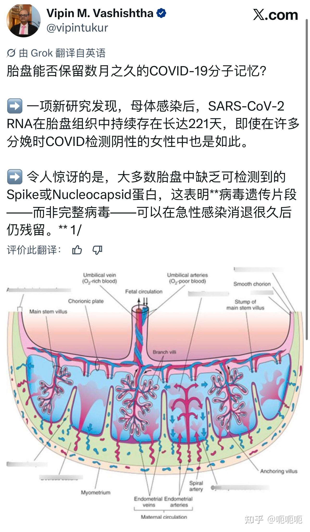 新冠第一例病人〃新冠病毒第一例感染者是谁-第2张图片
