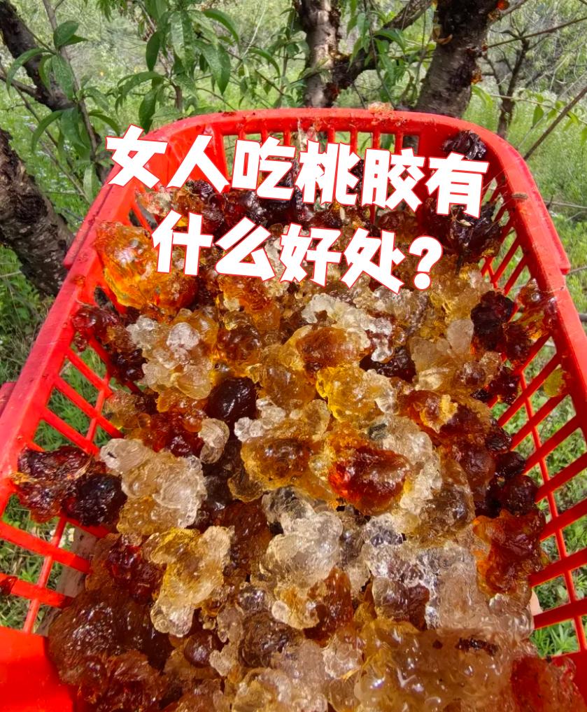 “郑州：长期居家人员不做核酸” 一亩桃树能产多少桃胶？-第2张图片