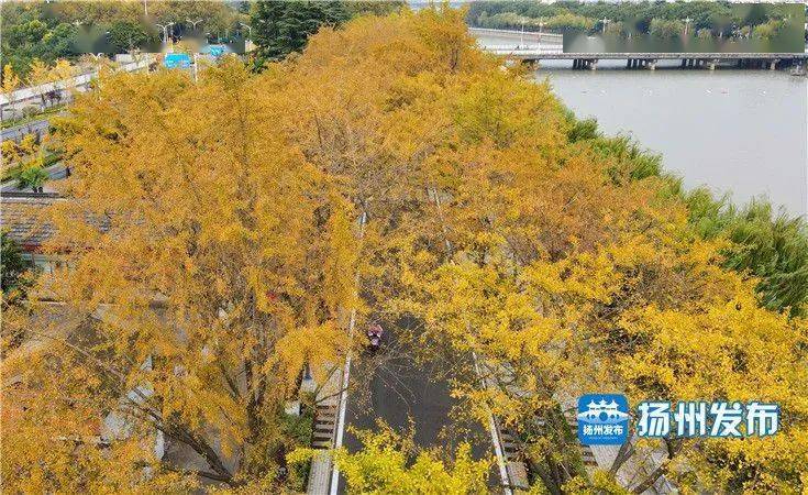 「扬州1地升高风险10地升中风险」〃扬州疫情封城时间和解封时间-第3张图片