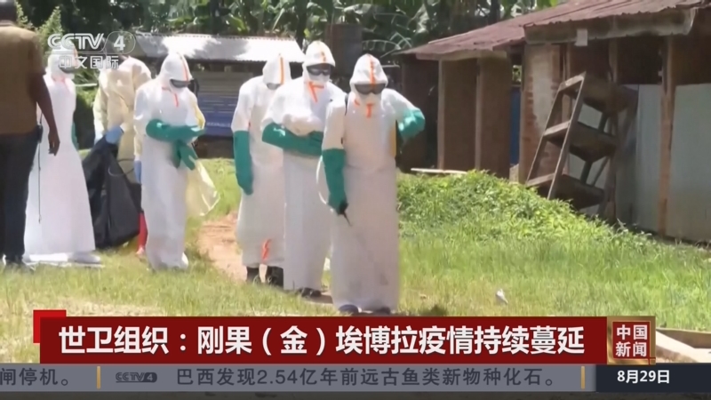 疫情最新消息中国〃疫情最新消息中国新闻-第3张图片