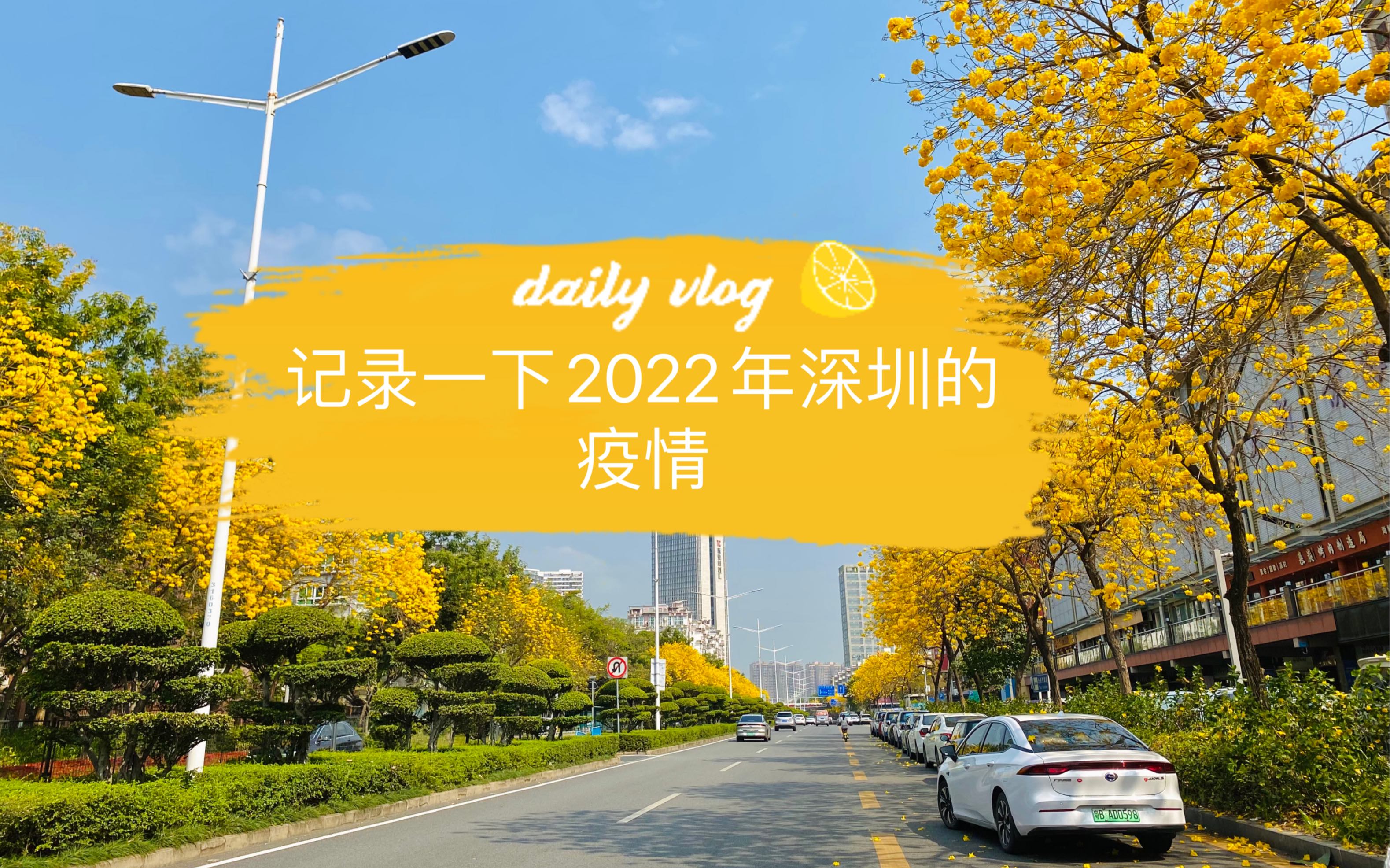 【在12月底有望全面解封/2022年12月疫情解封文件】-第2张图片