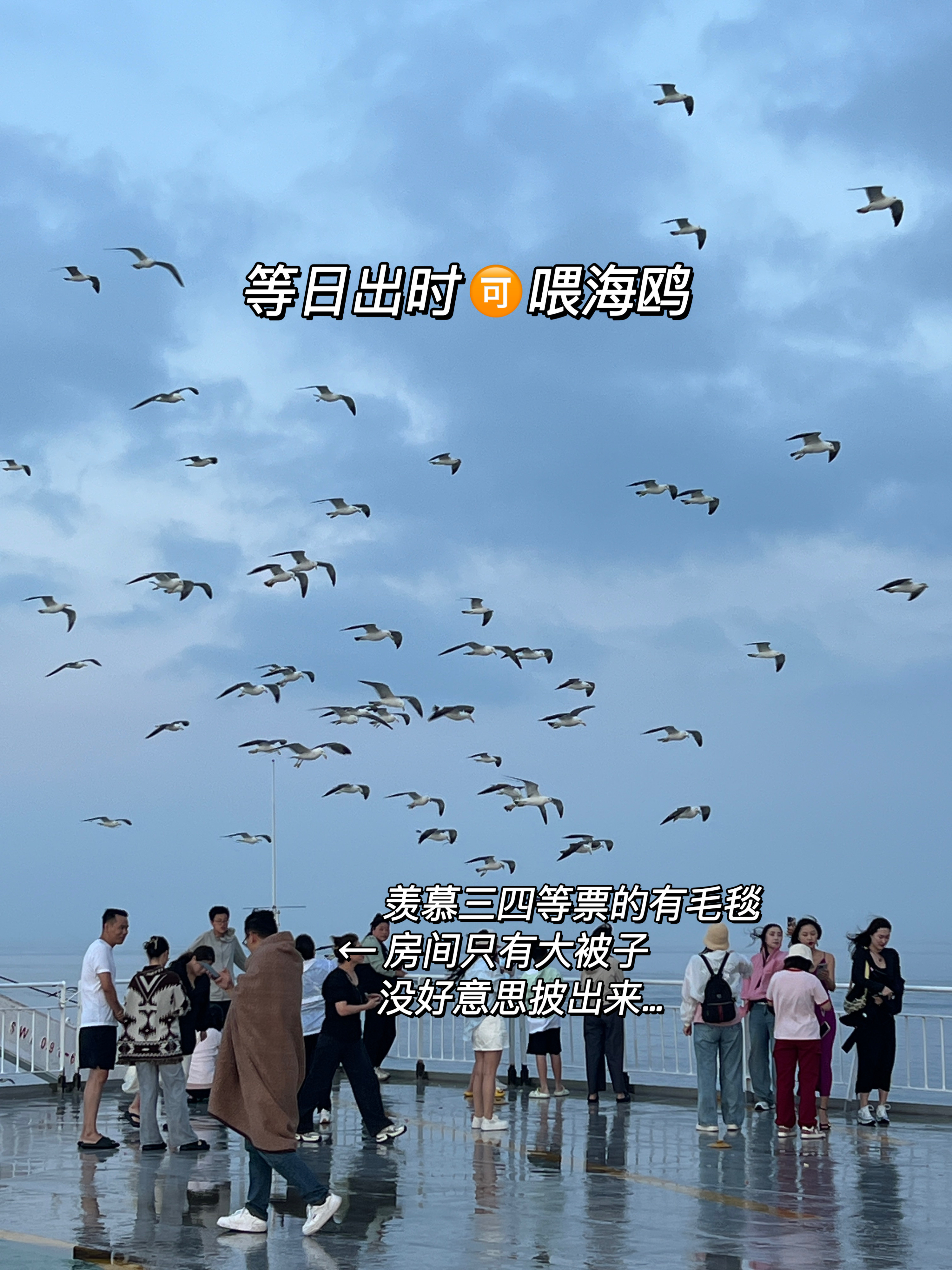 山东烟台到大连的船票,烟台到大连的船票费用优惠信息-第1张图片