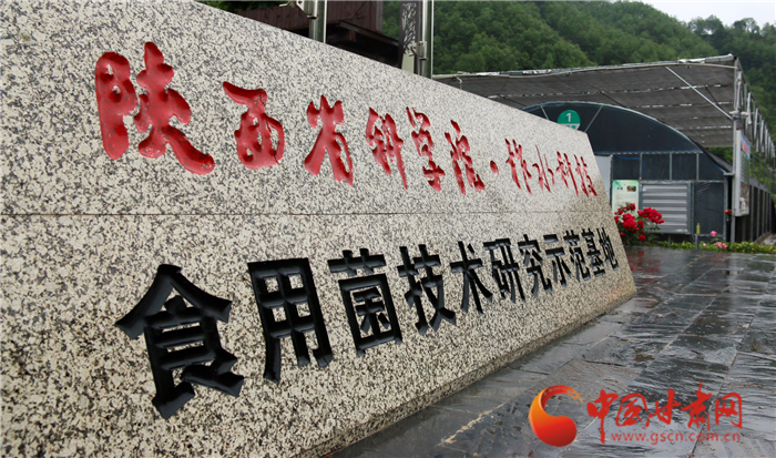 「西安防疫今天最新规定」〃西安防疫今天最新规定通知-第2张图片